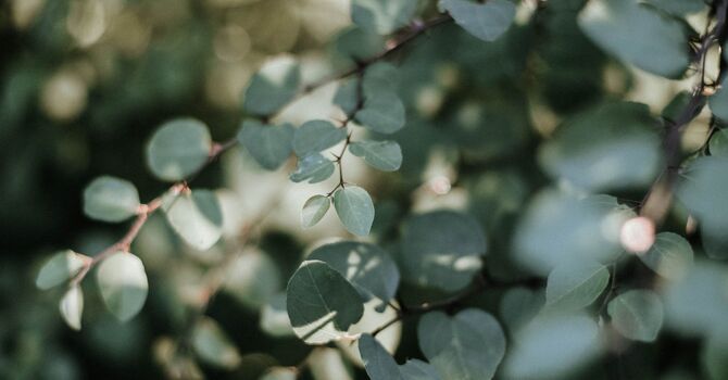 A Sensory Diet Is Not What You Think It Is (And Your Child Might Benefit From One)