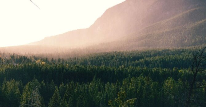 A Sensory Diet Is Not What You Think It Is (And Your Child Might Benefit From One)