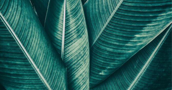 Your Child Didn't Qualify for School OT. Now What? image